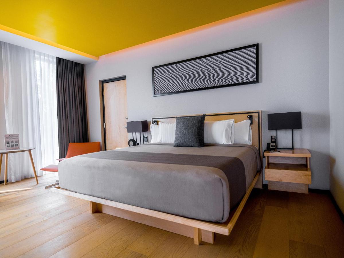 Galeria Plaza San Jeronimo Hotel Мексико Сити Екстериор снимка A room at the hotel