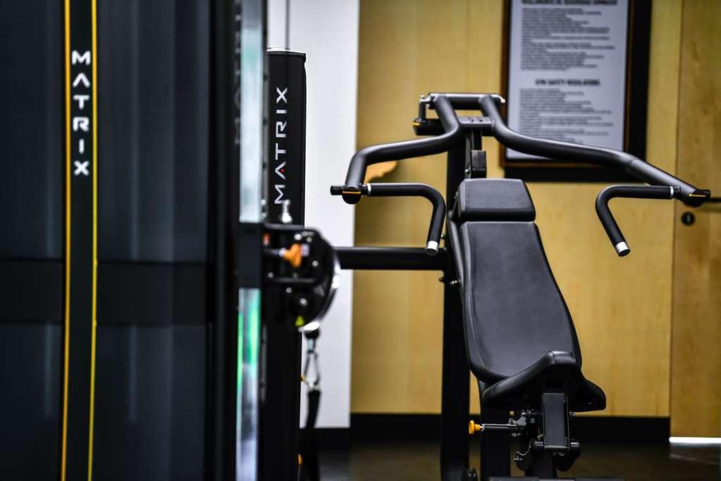 Galeria Plaza San Jeronimo Hotel Мексико Сити Съоръжения снимка A shoulder press machine
